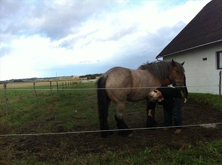 Belgier Odin(Nils Tjer-Rildmoseg) - Hva nu mor? billede 19