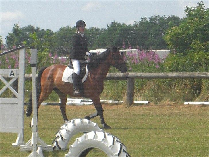 Hollandsk Sportspony Fiégo - Fra vores første stævne - LE :) billede 2
