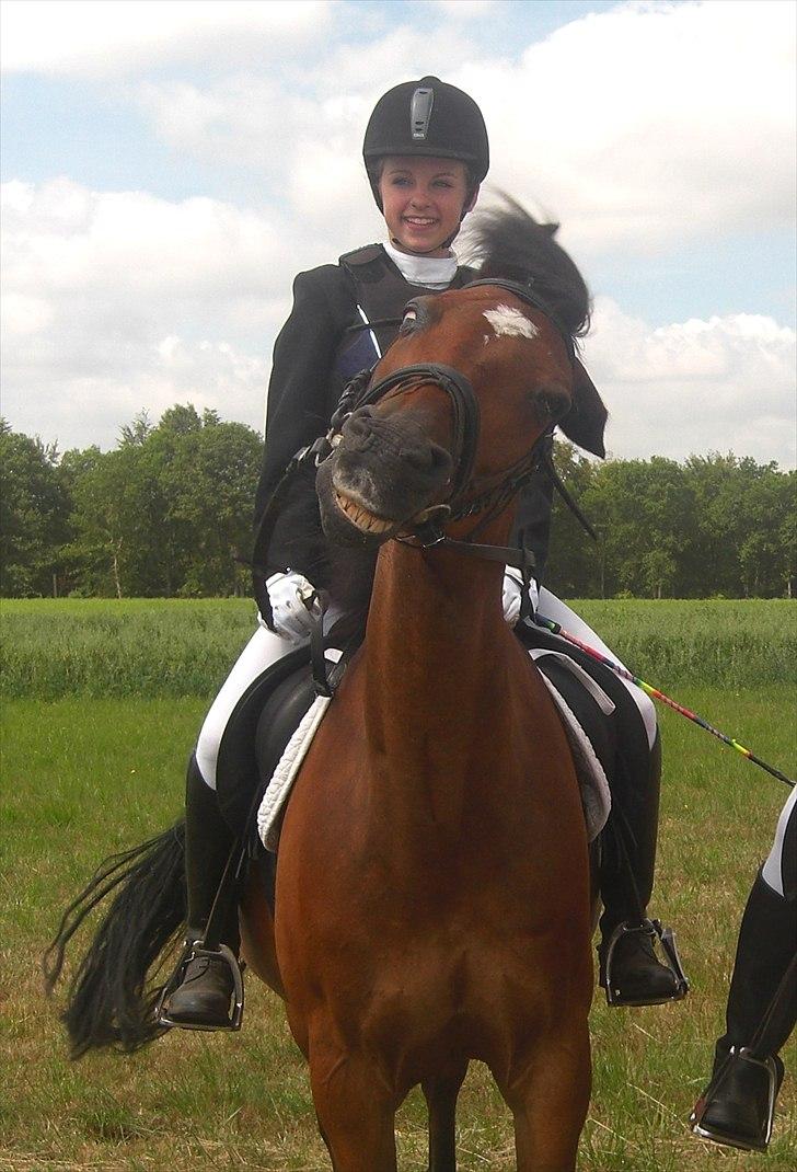 Hollandsk Sportspony Fiégo - Fra vores første stævne - Fluerne drillede ;) billede 3