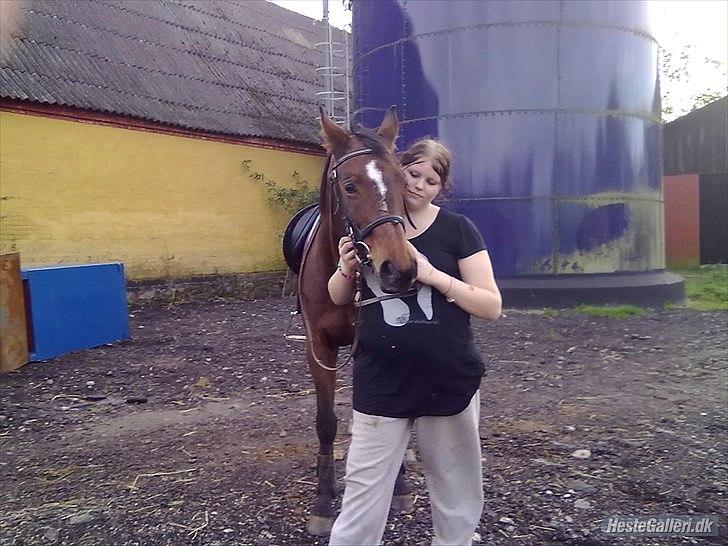 Dansk Varmblod Majbrit. RIP - maiken og prinssesen(majbrut) billede 15