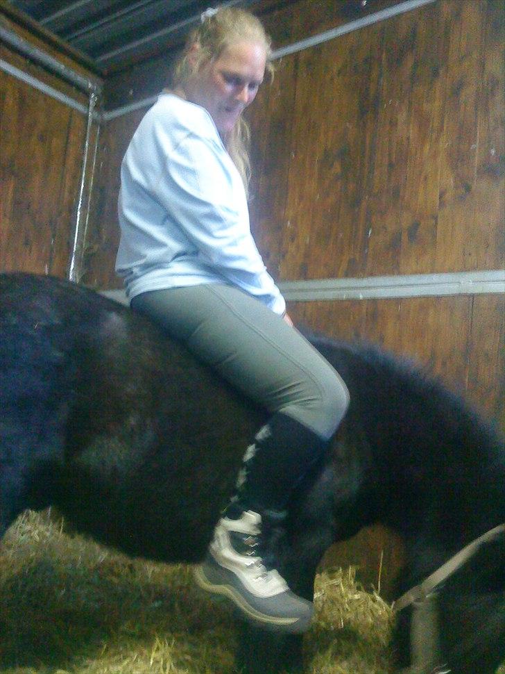 Shetlænder Samson <3 RIP <3 - Ja! ved godt jeg er alt alt for stor til ham -men er nød til at se hvad han siger til at have mig på ryggen, da det meget vigtigt for mig at jeg kan føle mig tryg, når min søn bliver trukket rundt på ham ;) billede 17