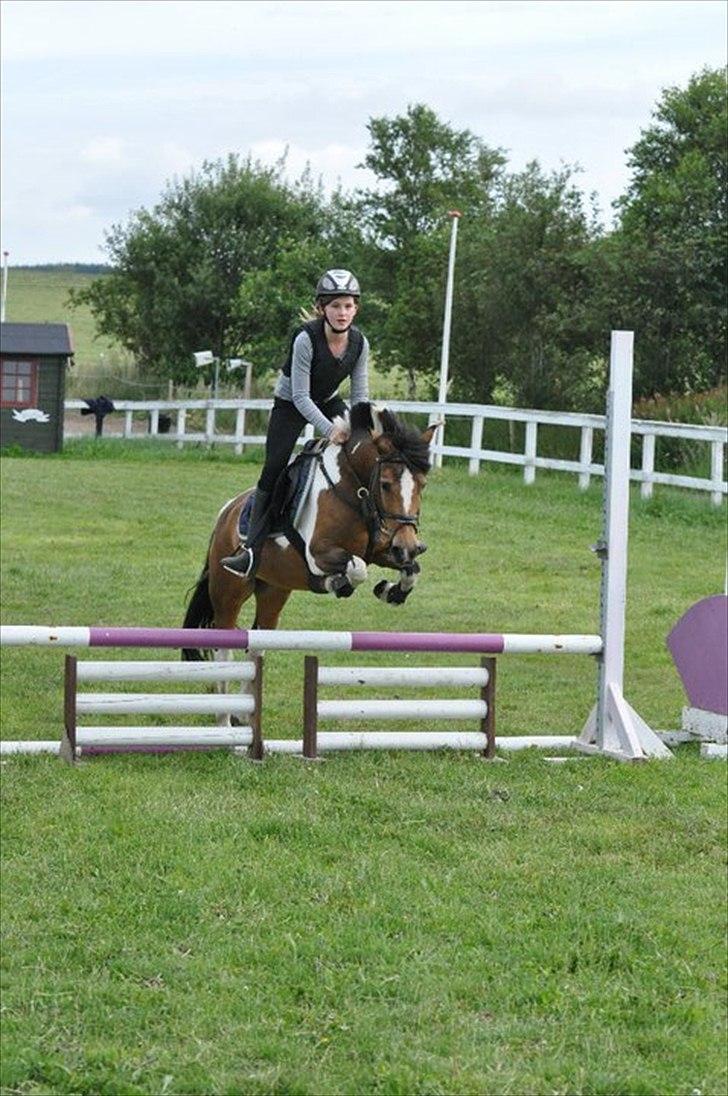 Anden særlig race Color solgt billede 16