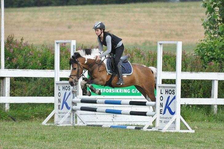 Anden særlig race Color solgt billede 17