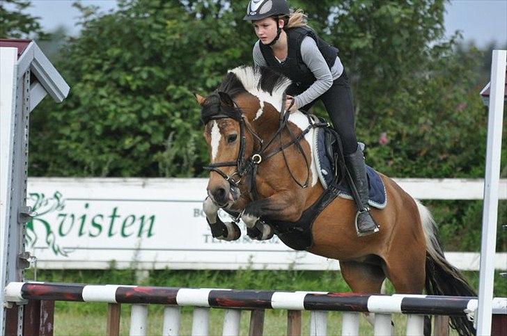 Anden særlig race Color solgt billede 1