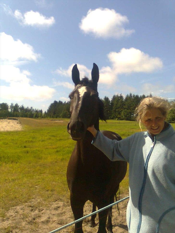 Dansk Varmblod jesti's Wanila - mor med sin lille-nille;D billede 1