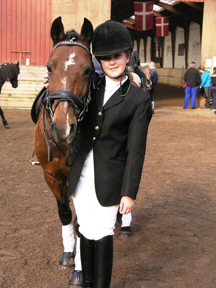Anden særlig race Fighter (solgt) ;/ - Vores første stævne sammen (:
Foto: Far:) billede 3