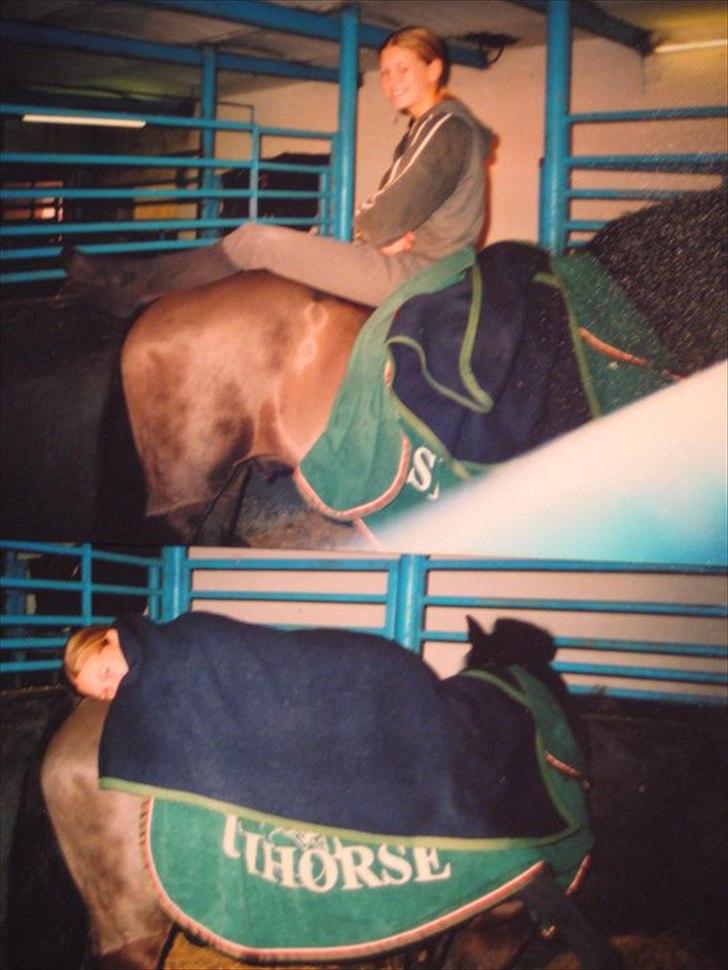 Anden særlig race Zetan *AFLIVET* - Michele som christina købte zetan af, og jeg købte zetan af christina :) billede 17