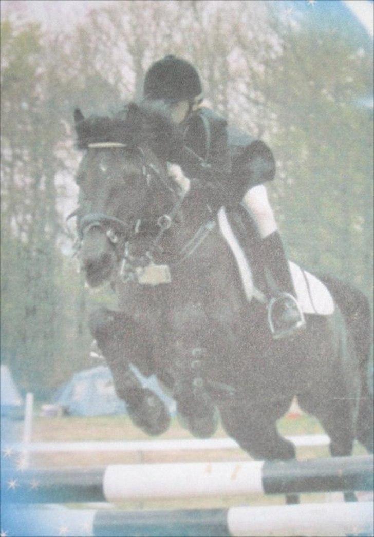 Anden særlig race Zetan *AFLIVET* - Michele & zetan - mange år siden. billede 19