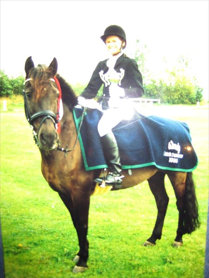 Anden særlig race Zetan *AFLIVET* - distriktmester 1999 Michele & zetan :) billede 20