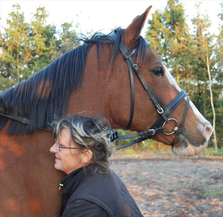 Anden særlig race Zar Indian. *Har redet* - Hvad har han fået øje på? Marianne og Zulle Hygger!´<3 Foto: A-K billede 5