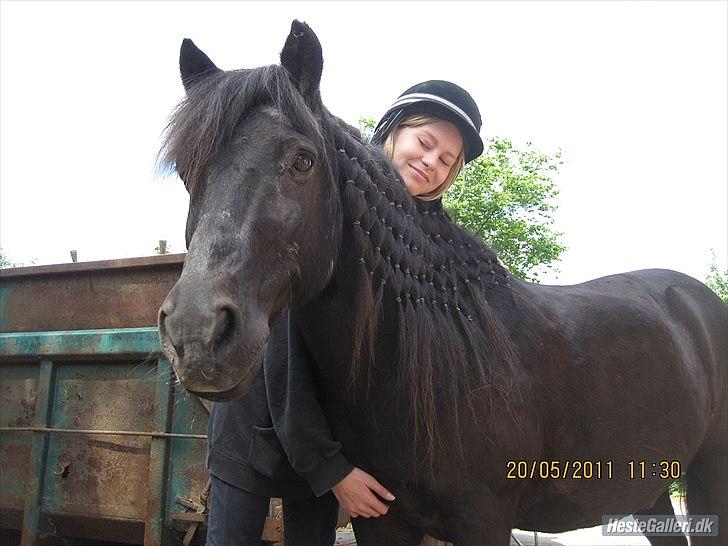 Anden særlig race Hugo *part* - mig og hugo ;) han skulle lige være fin med fiskenet  billede 5