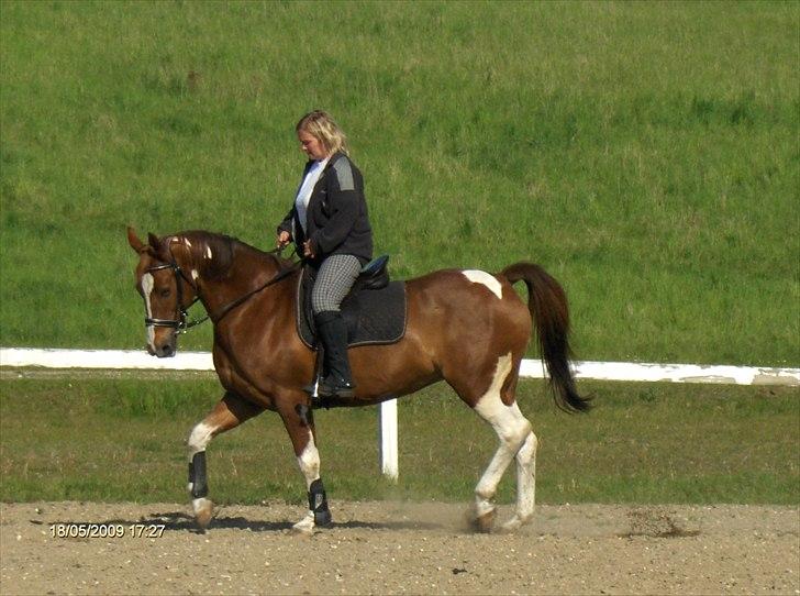 Anden særlig race Pippi SOLGT :'( billede 11