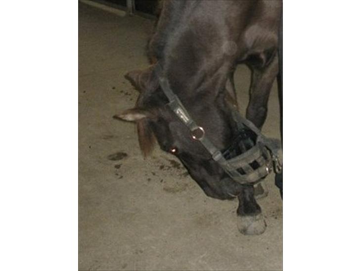 {{currentPhoto.altText}} billede {{currentPhoto.number}}