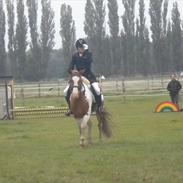 Anden særlig race Pinocchio<3 *solgt*   