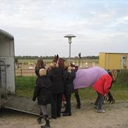 Anden særlig race Beauty