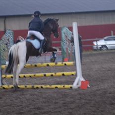 Anden særlig race Dakar Bækbo