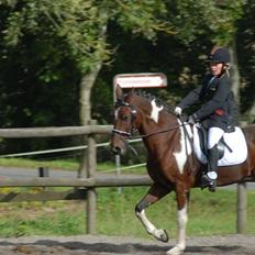 Anden særlig race Dakar Bækbo