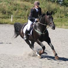 Oldenborg Lexus R.I.P