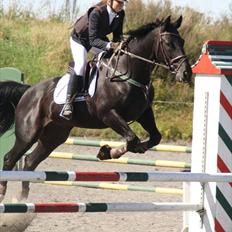 Oldenborg Lexus R.I.P