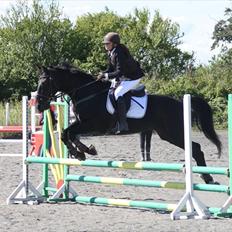 Oldenborg Lexus R.I.P