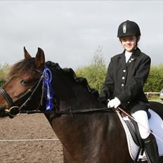 New Forest Lundemarksgaards Hera Ophelia