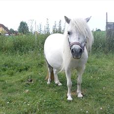 Miniature Holmegaard´s Cheper