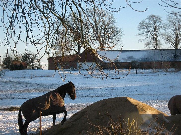 Traver Lukas Bit - Lukas der forsøger at bestige sandbjerget billede 4
