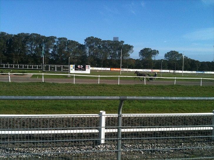 Traver Lukas Bit - På banen og træne billede 3