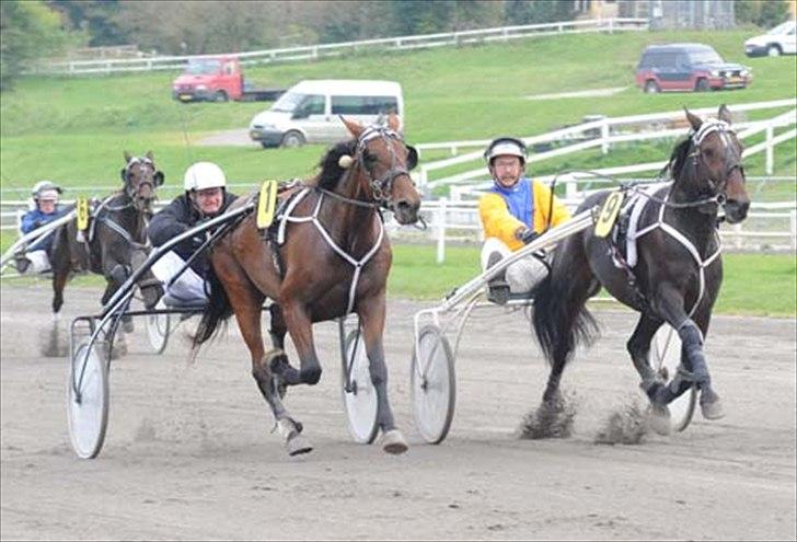 Traver Lukas Bit - Lady og Lukas billede 2