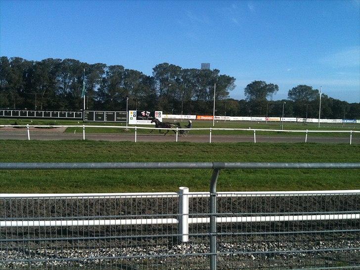 Traver Lukas Bit - På banen og træne billede 9