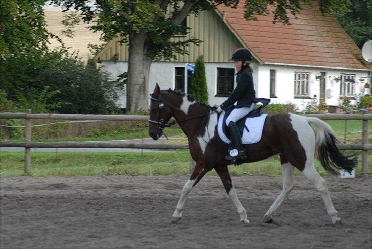 Anden særlig race Dakar Bækbo - Dakar og Rigmor (min lillesøster) billede 3