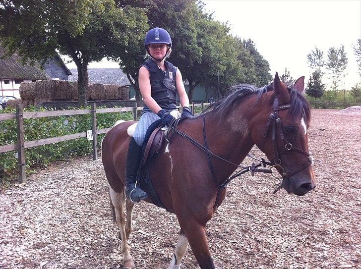 Anden særlig race Dakar Bækbo - Igen, igen - min lillesøster og Dakar :D billede 5