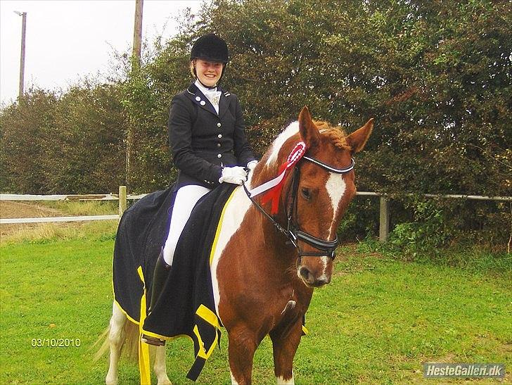 Anden særlig race Jazzo A-pony - Første stævne efter at have redet ham 6 gange og haft ham i 3 dage - LA5 - 1.plads med 68% :D hvor var jeg glad og stolt!  billede 13