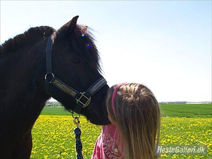 Anden særlig race Dipsy - velkommen til dipsys profil kig gerne videre billede 1