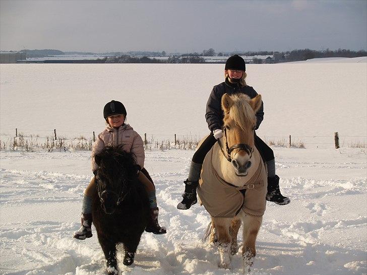 Anden særlig race Dipsy - mig og min søster i sneen med luffe og min kære ponse billede 18