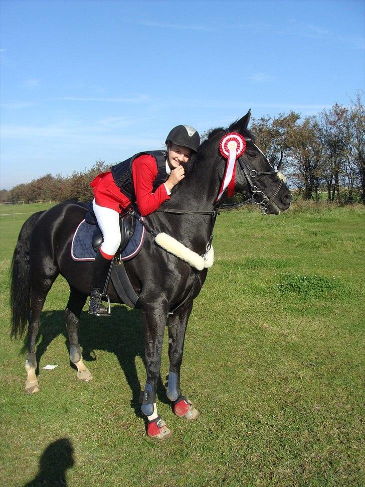 Hollandsk Sportspony Marquerita SOLGT - 1. plads LA*! billede 14