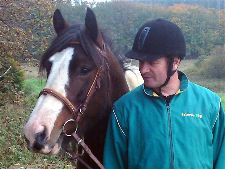 Tinker Anton *AVL`S HINGST* - Smukke drenge :D billede 14