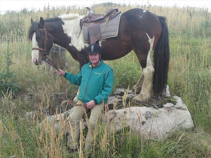 Tinker Anton *AVL`S HINGST* - Ja ja Anton følger da bare med når far vil op på stenen... ;) billede 15