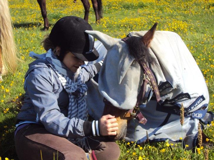 Anden særlig race Cassiopeia DEN SAVNEDE!<3 - Foto: Katrine billede 13