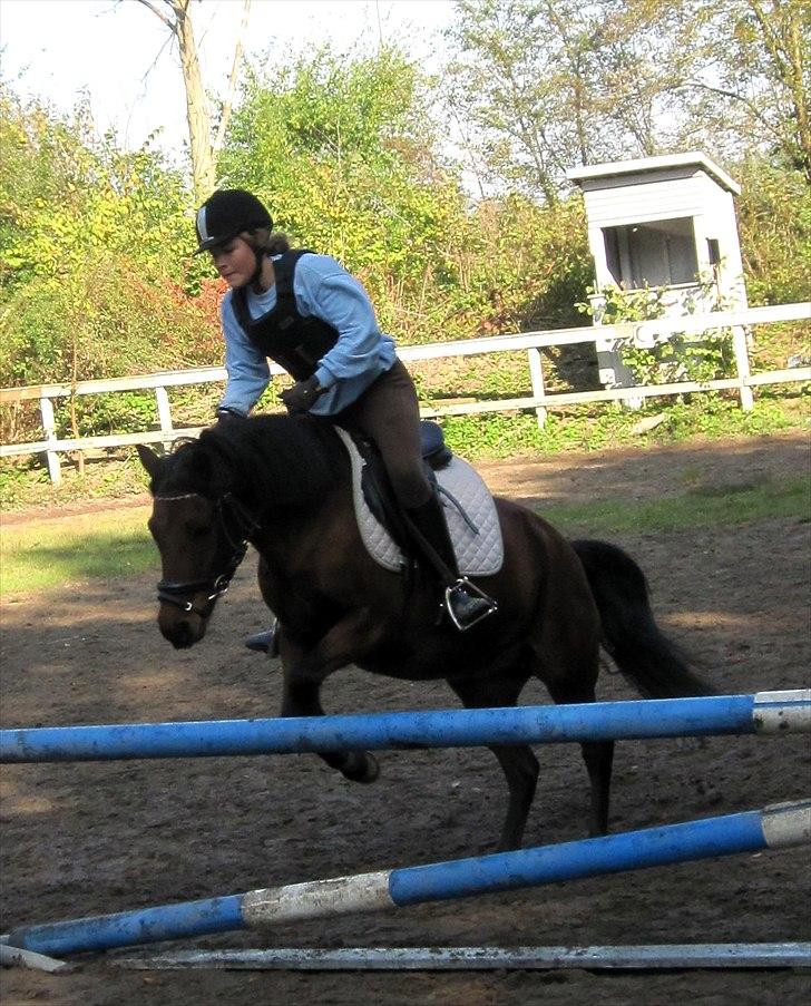 Anden særlig race Cassiopeia DEN SAVNEDE!<3 - 75cm ((-: Foto: Emily billede 11