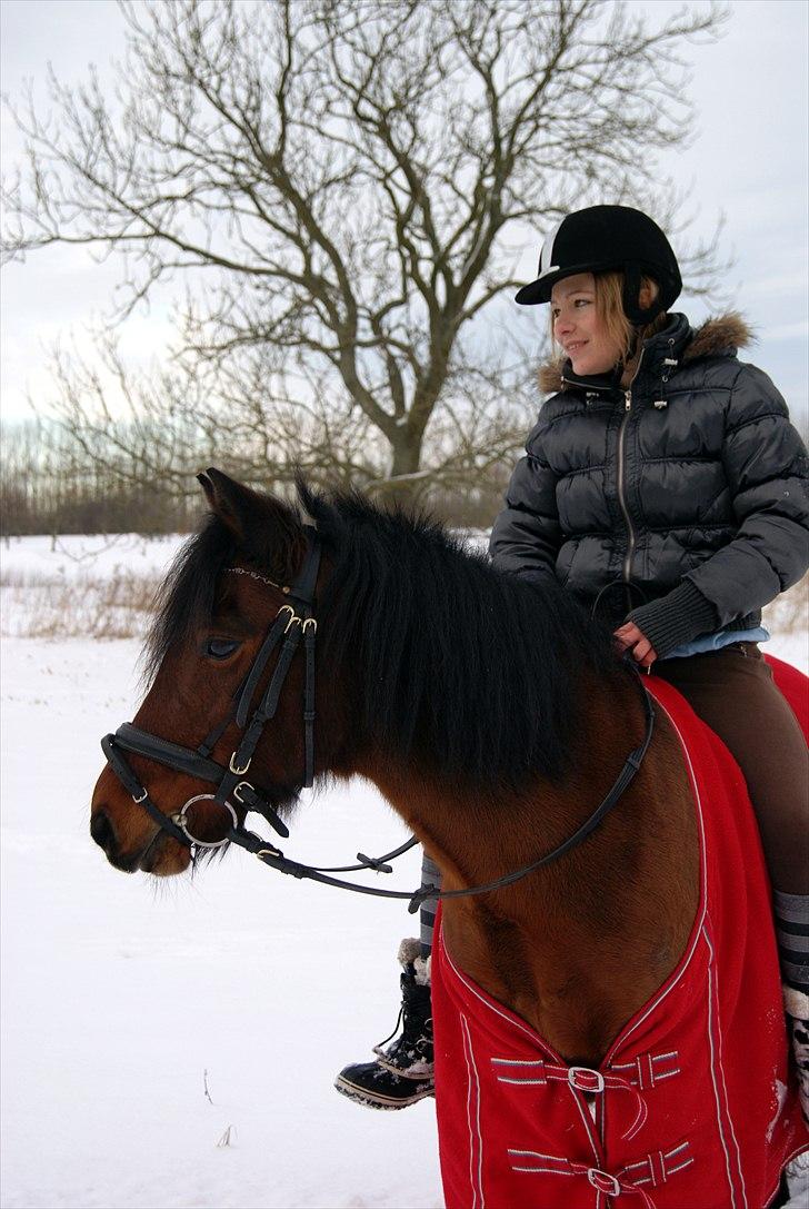 Anden særlig race Cassiopeia DEN SAVNEDE!<3 - Foto: Katrunte <3 billede 16