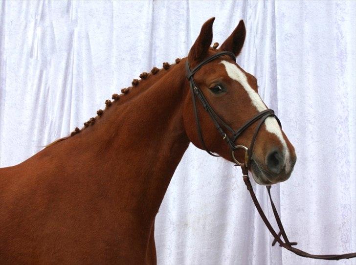 Frederiksborg Eislinn billede 19