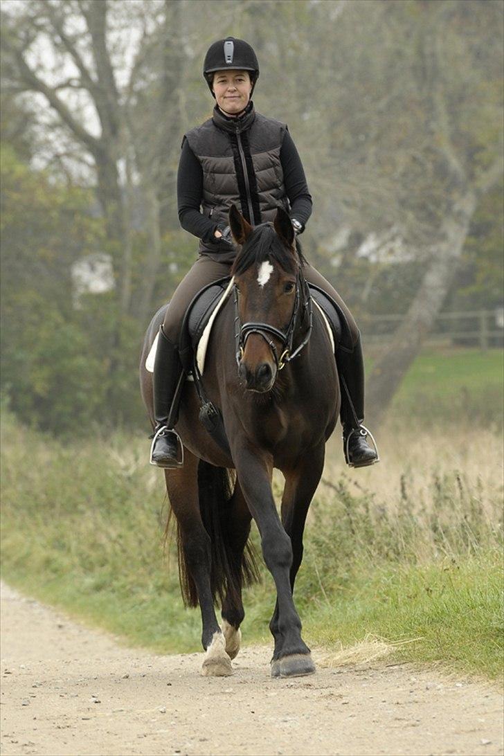 Oldenborg Højager Tobias - Tobias september 2010. Redet 4 mdr.  billede 6