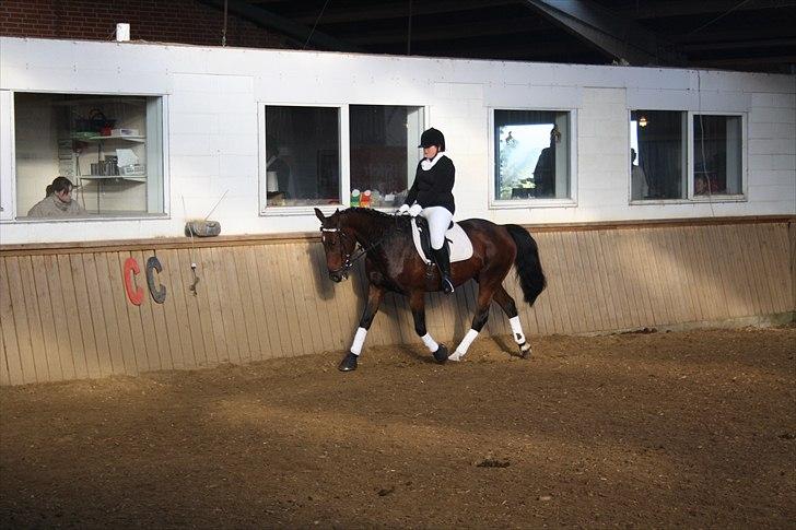 Anden særlig race Rea - Stævne på ROAR D.10/10-2010 billede 17