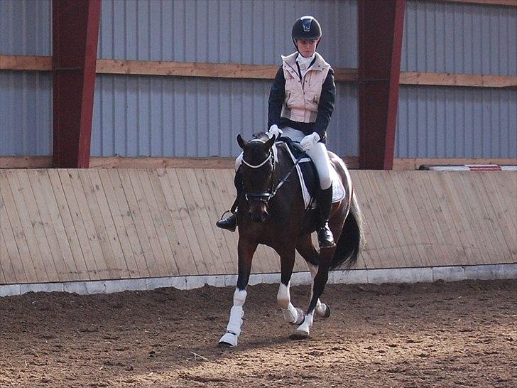 Anden særlig race Penny - Stolt af dig, Penny <3 billede 11