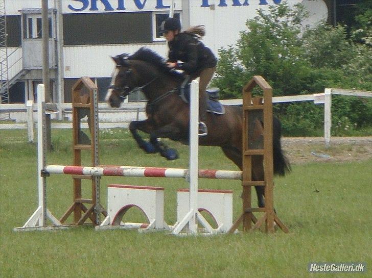 Anden særlig race Mr. Malibou billede 12