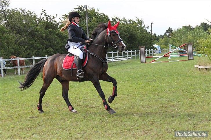 Anden særlig race Mr. Malibou - Mig og Malibou til stævne i Uggerhalne billede 14