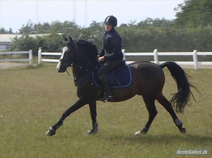 Anden særlig race Mr. Malibou - springtræning 2009 <3 foto: Charlotte T billede 16