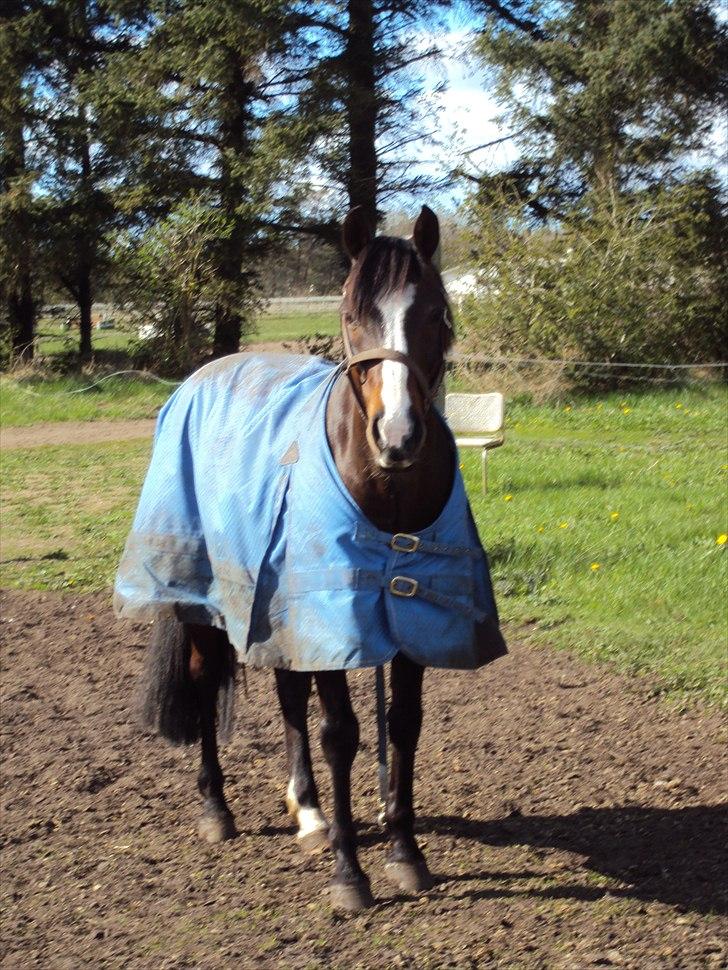 Anden særlig race Mr. Malibou - Smukke <3 billede 17