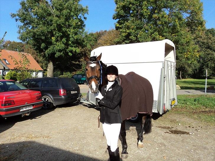 New Forest Flintdales Ranzau billede 9